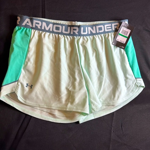 Under Armour Pants - NWT Under Armour Women’s Side Mesh Play Up Shorts (L)